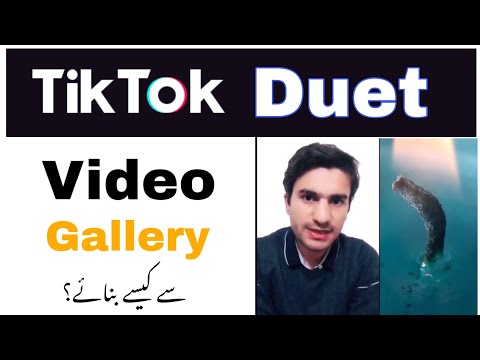 Tiktok Duet Gallery Video Kaise Banaye? How to Duet on Tik tok with a Saved Video?