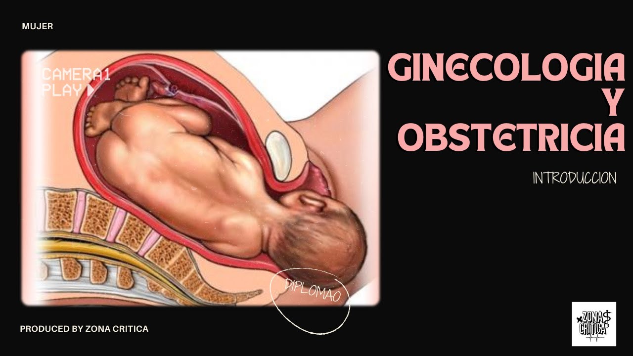 Secretos de Ginecología y Obstetricia que tus profesores NO te contarán