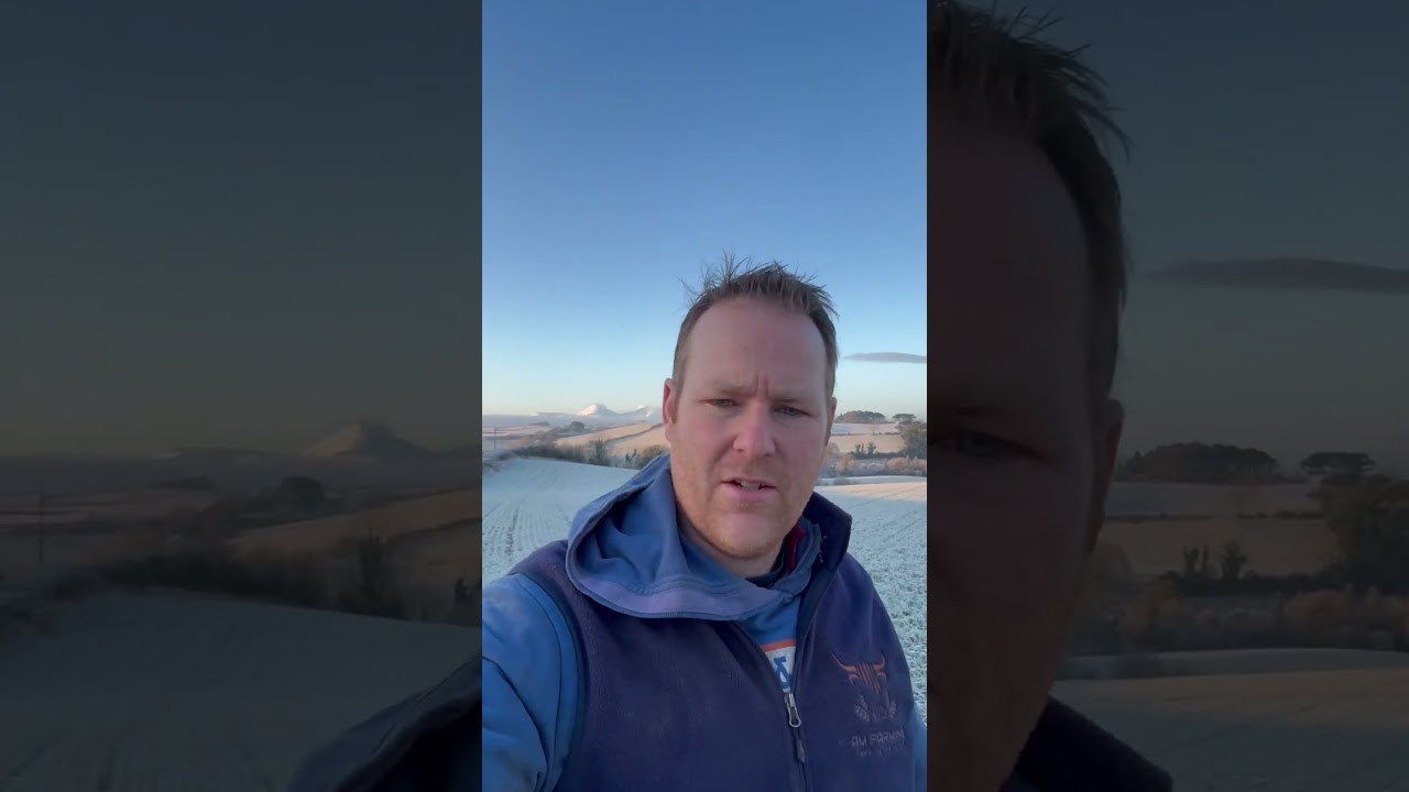 Will the frost kill my oat crop #oats #frost #farming #grain #cropfarming #porridge #whitesoats