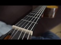 Класична гітара Antonio Sanchez S-3050 (Fishman Classic III)