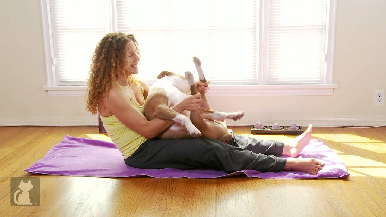 Yoga With Your Dog