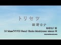 トリセツ／西野カナ 【カラオケ練習用・高音質・フル】