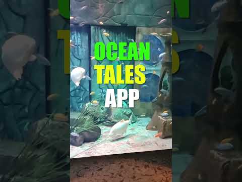 #109 | India to Dubai Trip | The entry to one of the best aquariums of Dubai was free to us #shorts