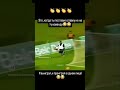 Смешное видео😄❤️👍#short#reels#рекомендации #обзор#приколы#юмор#смешно#животные#собака#кошки