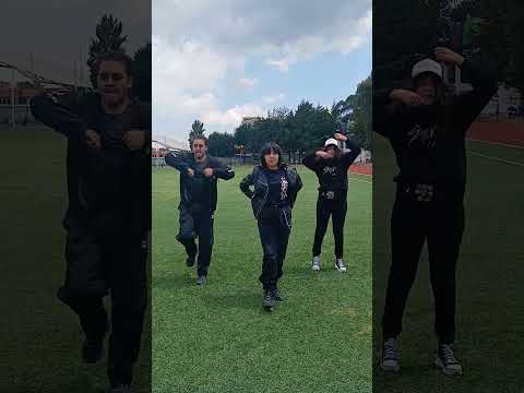 MEGAVERSE - KD-TRAINEES