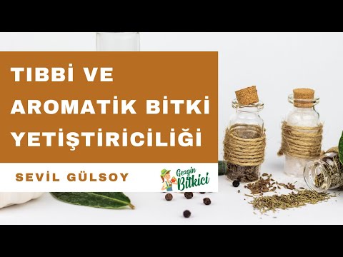 Video: Ginkgo Ağaçlarını Sulamak – Ginkgo'nun Ne Kadar Suya İhtiyacı Vardır?