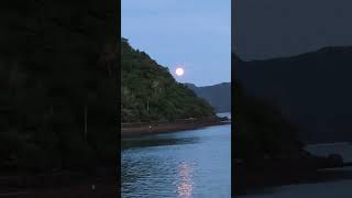 Moonlight Dinner