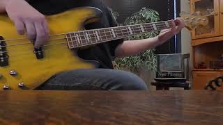 The Other Guy. Little River Band. Bass cover.