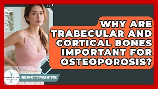 Why Are Trabecular And Cortical Bones Important For Osteoporosis? - Osteoporosis Support Network