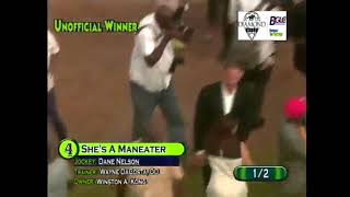 SHE'S A MANEATER  - DANE NELSON - 2DEC2017