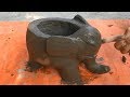 DIY / Creative hands / Design bonsai pots from Elephant / Beautiful cement craft ideas