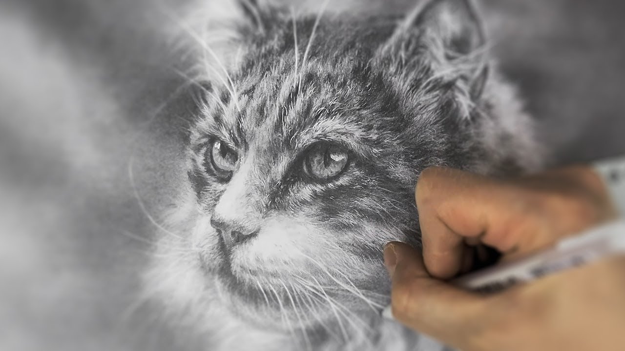  New  동물 드로잉 | 고양이 초상화 그리기 두번째 | 스케치부터 완성까지 빨려든다 빨려들어