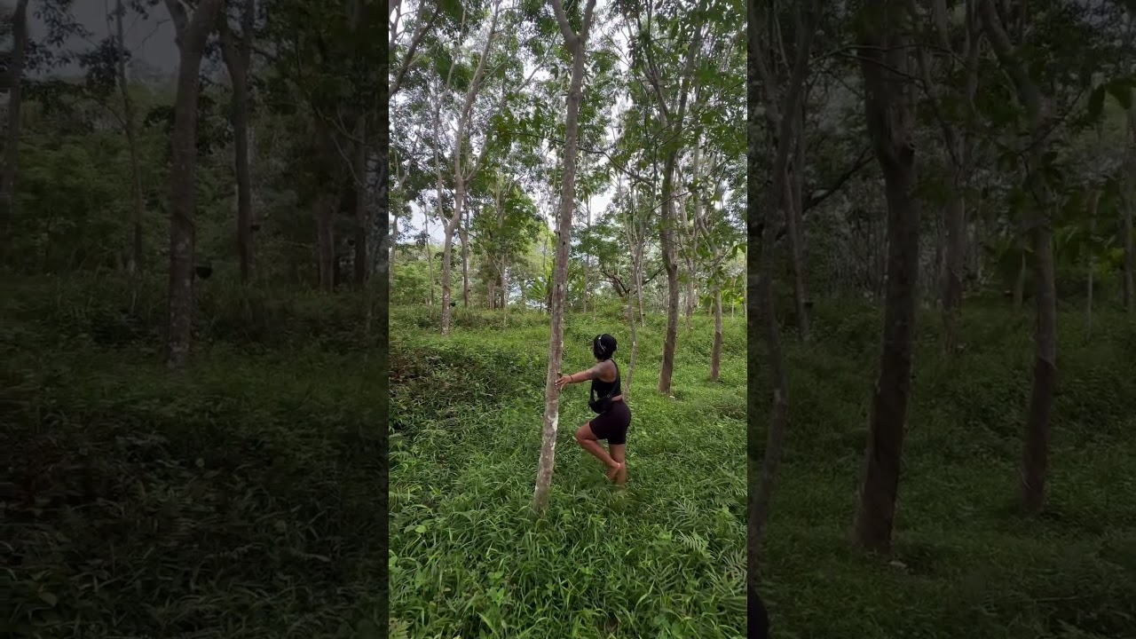 Завел азиатку в лес и 