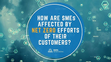 How are SMEs affected by net zero efforts of their customers?