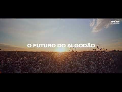 Abertura de Plantio do Algodão | Confiança se Cultiva com FiberMax®
