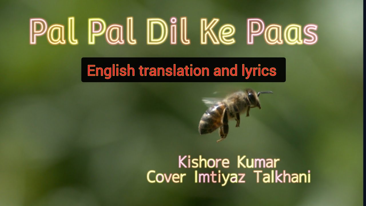 Pal Pal Dil Ke Paas, Kishore Kumar cover Imtiyaz Talkhani with English translation lyrics, Blackmail