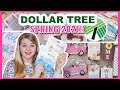 Jackpot Dollar Tree Haul! | New Spring 2021! | Dollar Tree High-End Spring Decor | Krafts by Katelyn