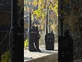 #radio #radioamatori #tecnologia #pmr #hamradio #pmr446 #dpmr #dmr #pni #retevis #walkietalkie #tlc