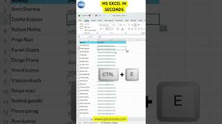 Flash Fill in Excel Explained