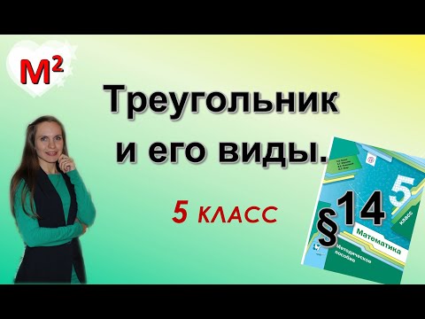 ТРЕУГОЛЬНИК и его виды. §14 математика 5 класс