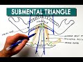 Submental Triangle - Boundaries & Contents | Anatomy Tutorial