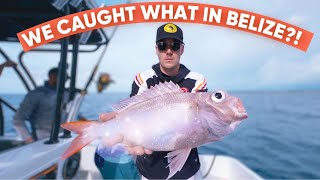 The Thrills of Deep Drop Fishing BELIZE