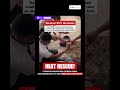 Students Create Bird Feeders from  Discarded Bowl to Help Birds Beat Heatwave