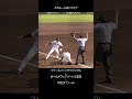 野球のこのルール知ってた? #shorts #巨人 #baseball #sports