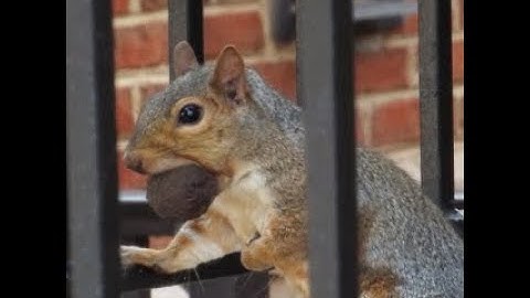 Creating the Aryssan Oath of Memories Subclass