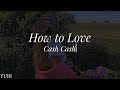 【洋楽和訳】How to Love - Cash Cash (feat. Sofia Reyes)