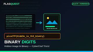 PicoCTF  -  Binary Digits