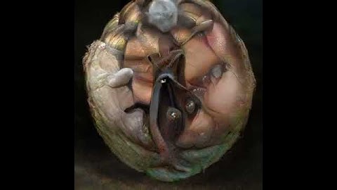 ARTBREEDER - Generative Adversarial Networks