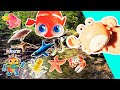 Sea Animal Names for Kids to Learn at the Stream: Saw Shark Octopus Starfish Orca Crab