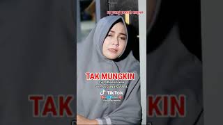 Tak Mungkin cover Lusiana Safaratiktok Dangdut Cover budi purwanto