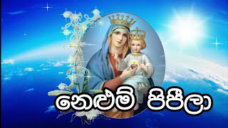 Vignette de la vidéo "නෙලුම් පිපීලා | Nelum pipila pethi wisirila | ජේසු අම්මට ගී | Sinhala Geethika සිංහල  ගීතිකා | Hymns"