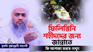 ফিলিস্তিনি শহীদদের জন্য জান্নাতে কি অপেক্ষা করছে mufti mustakunnabi kasemiমুফতি মুস্তাকুন্নবী কাসেমী