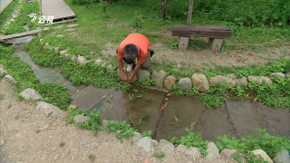 【淡水原生魚種】伴魚｜宜蘭龍潭湖、台北久如社區的護魚行動 ... 