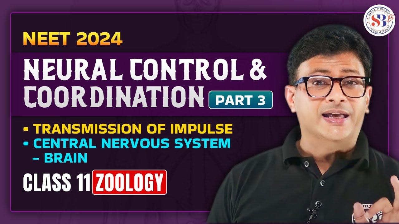 NEURAL CONTROL AND COORDINATION CLASS 11 | TRANSMISSION OF IMPULSE, CENTRAL NERVOUS SYSTEM BRAIN