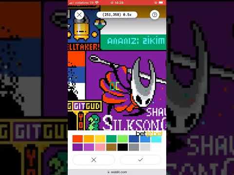 TÜRKLERİ KIZDIRMAYIN #R/PLACE