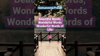 Wonderful Words of Life #worshipinstrumental #pianoworship #christianshorts #youtubeshorts #shorts