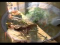 ♪人情屋台 (オリジナル演歌)