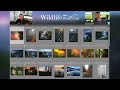 Middle of video