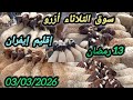 حصري سوق الثلاثاء أزرو بتاريخ 03 03 2026 اكسبلور  
