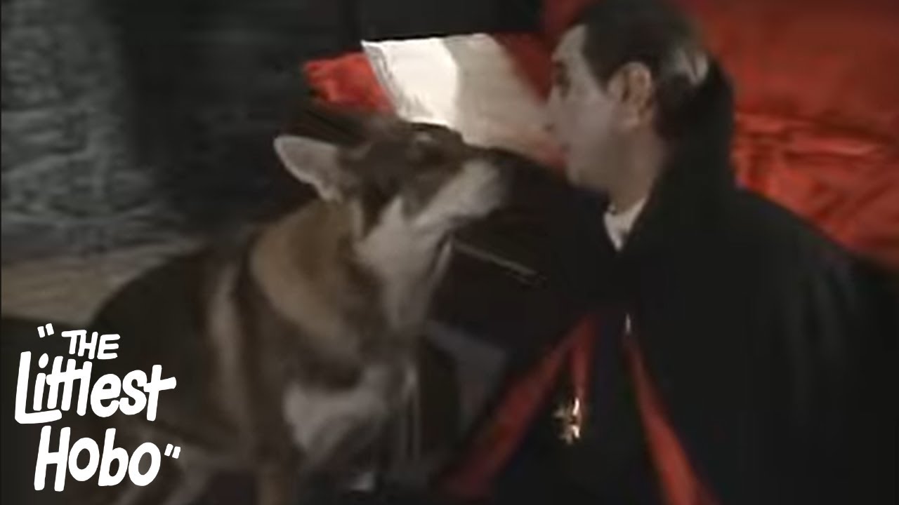 Day for Fright | The Littlest Hobo | Season 4 | Episode 11