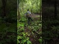 #short #shorts #trending #trend #viral #viralvideos #video #travel #travelvlog #traveling #vlog