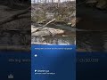 Hiking & Enjoying Nature #nature #entertainment #hiking #shorts #video #forest #explore #adventure