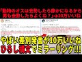 【10万いいね】男って去勢すれば静かになるんじゃね？平和な世界になるね➡︎差別発言ではと話題【ツイフェミ】