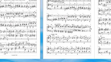 The Music Transcriber: Formatting Parts Using Plugins in Sib 6 Part 1