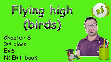 Flying high (birds) 8th chapter, 3rd class, EVS NCERT book /Bharat-Vikas Classes