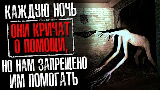 видео: НЕРЕАЛЬНО ЖУТКИЕ ИСТОРИИ С РЕДДИТА #34 (страшные истории на ночь) картинка: НЕРЕАЛЬНО ЖУТКИЕ ИСТОРИИ С РЕДДИТА #34 (страшные истории на ночь)